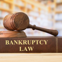 Кредитор або фізична особа боржник можуть звернутися до суду з заявою про банкрутство заручившись підтримкою «лояльного» арбітражного керуючого.